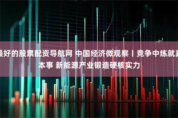 最好的股票配资导航网 中国经济微观察丨竞争中练就真本事 新能源产业锻造硬核实力